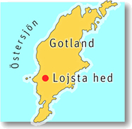 Gotland